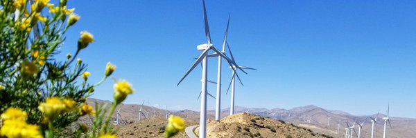 ElectrifyBloom Profile Banner