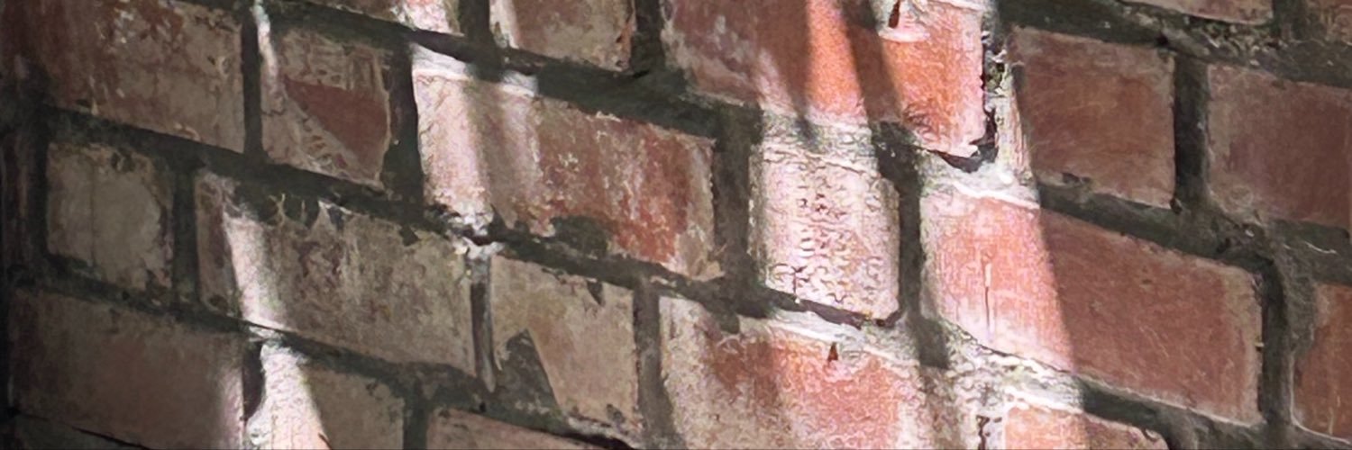 BlackDoves_'s profile banner image