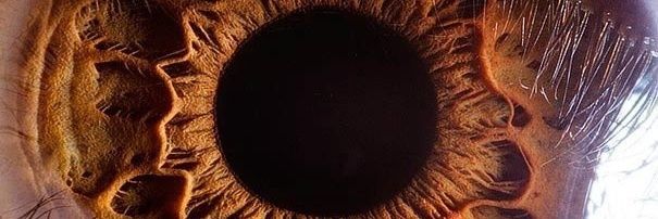 tiramisu banner