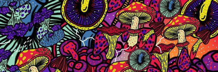 Mais Ácido 🍄 banner