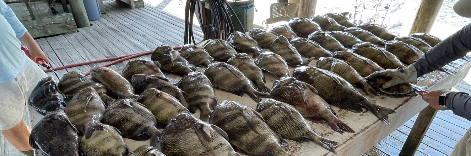 Houston Morgan banner