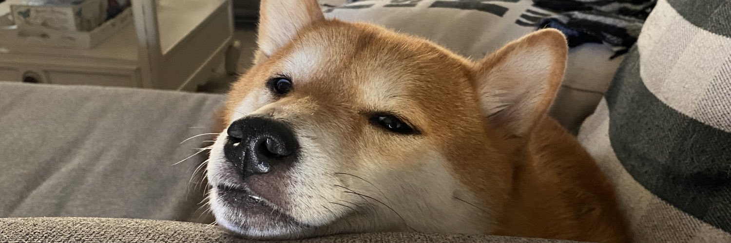 jcano323's profile banner image