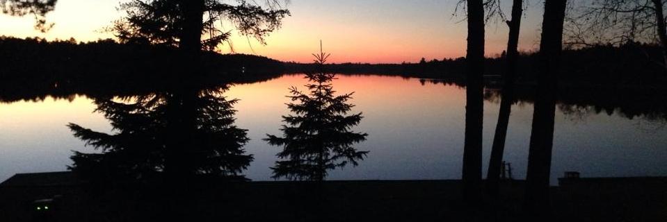 TeraBuckley's profile banner image