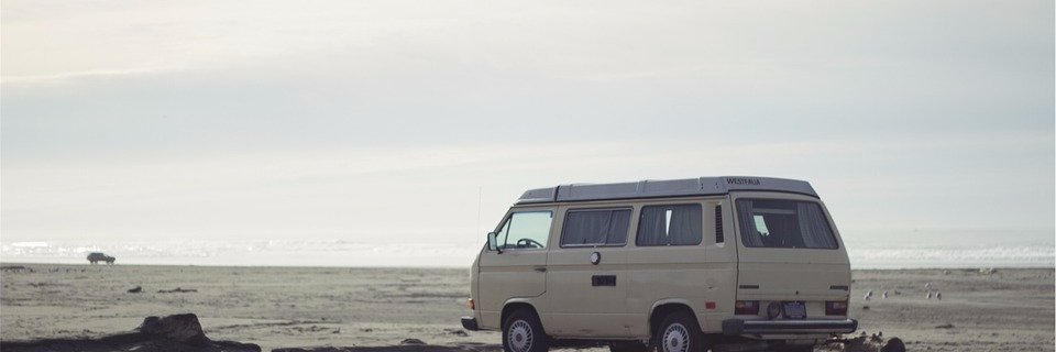zookroo's profile banner image