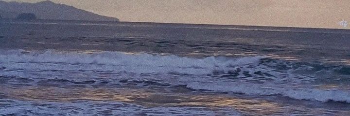 kiWi🥝 • lock in banner