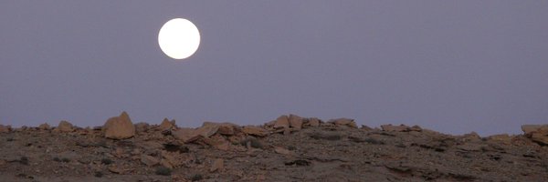 the_lineca Profile Banner