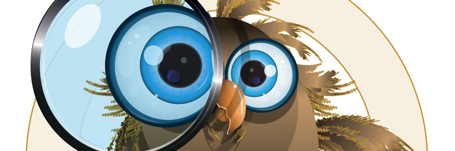 CuriousMathsSara banner