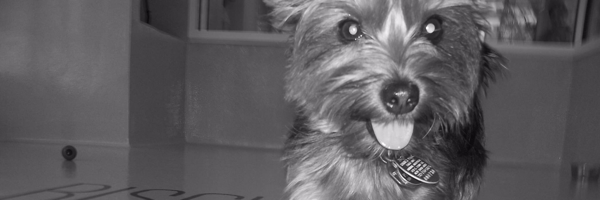 ellenink's profile banner image