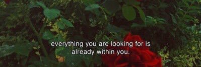 lusdenoche's profile banner image
