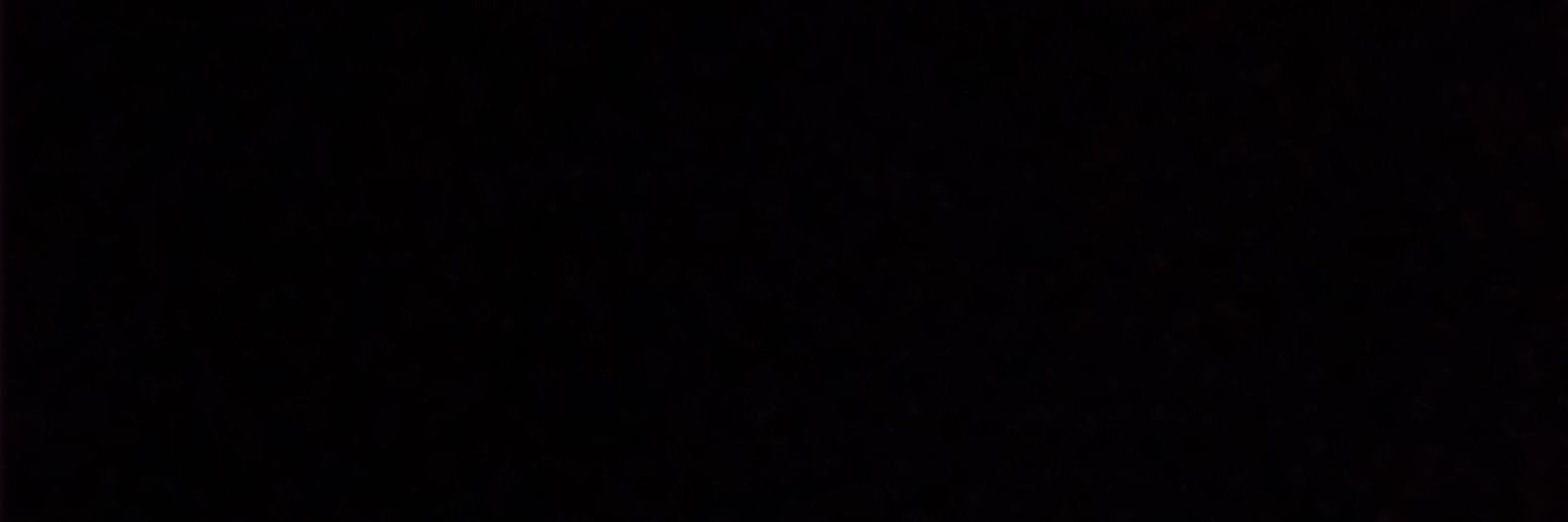 NaTs1250's profile banner image