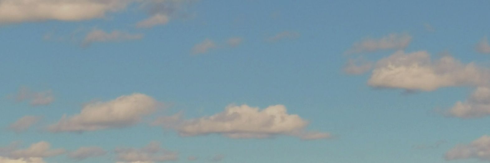MartonLuca4's profile banner image
