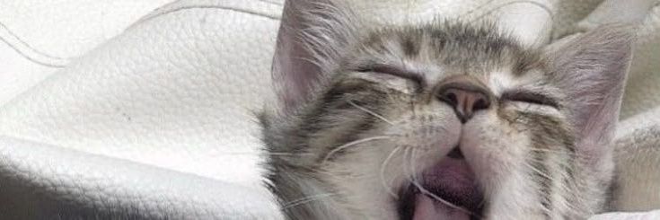 ⋆.˚✮emii✮˚.⋆ banner