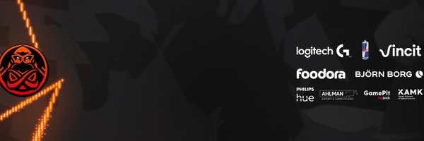 teme_csgo Profile Banner