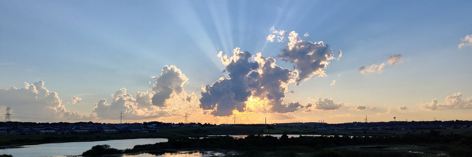 Senior CRUD Monkey banner