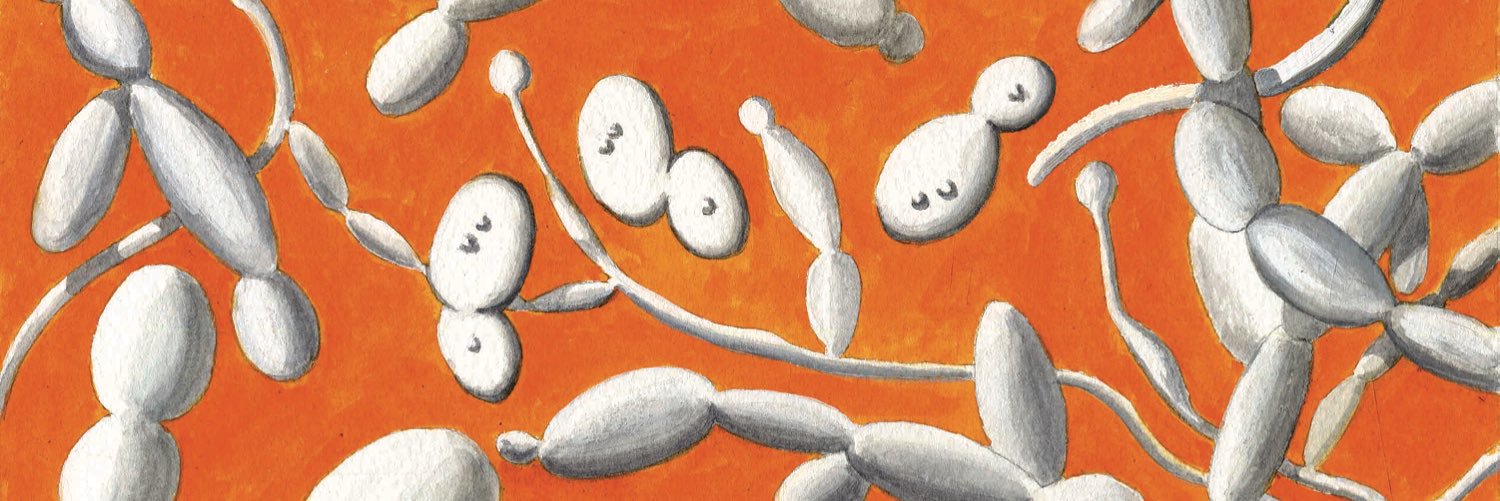HubWTSA's profile banner image