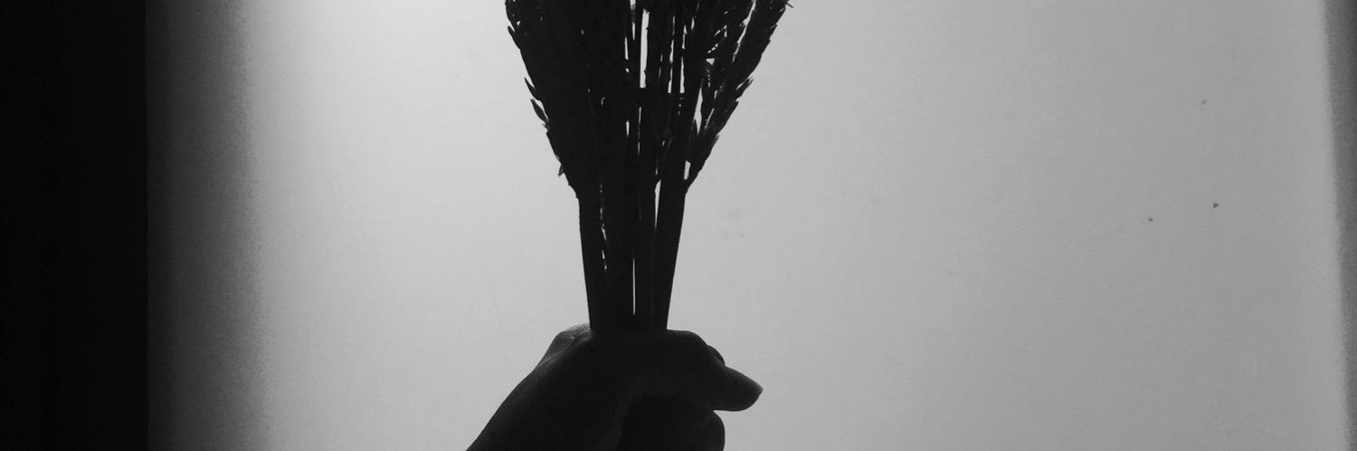 BoncabelevelNOL's profile banner image