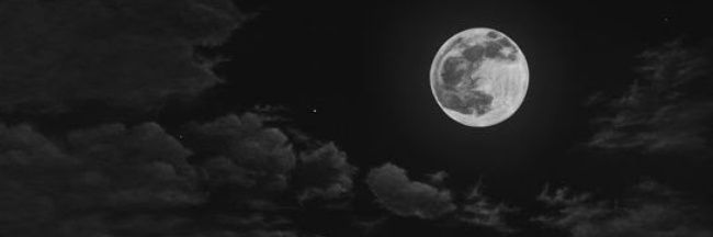 Jorge banner