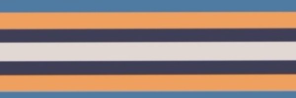 Phantomlovemeow Profile Banner