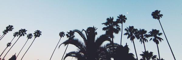 PeterRdzl's profile banner image