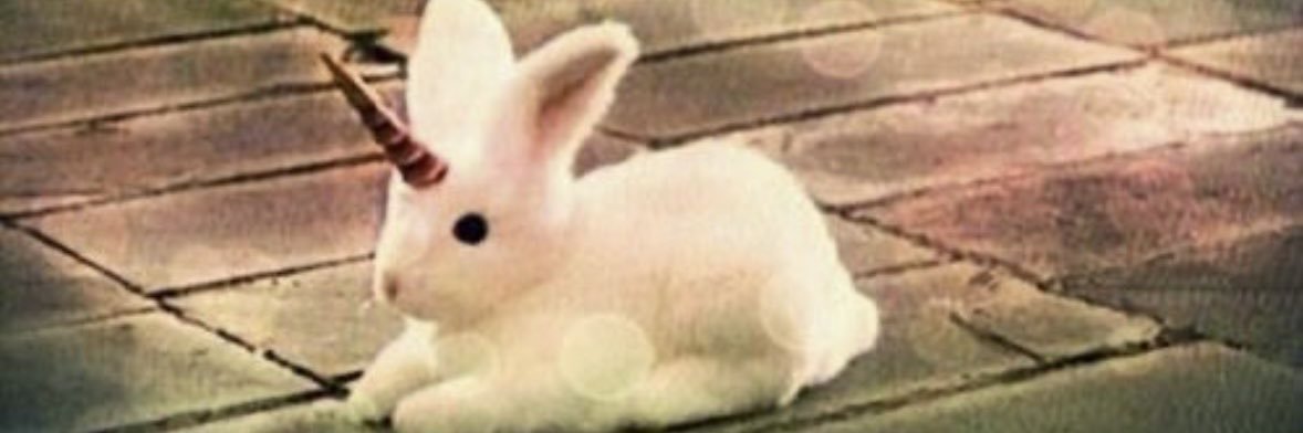 ʚkiaraɞ's banner