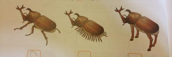 もじゃもじゃ banner