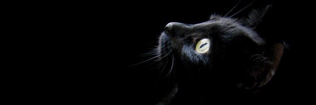 aydeenina's profile banner image