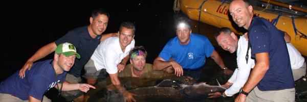 Joe23Matthews Profile Banner