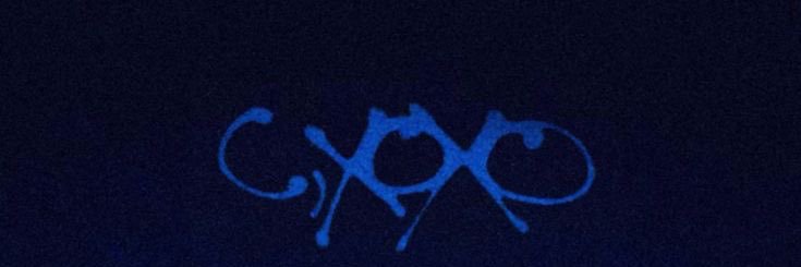 Fitz banner