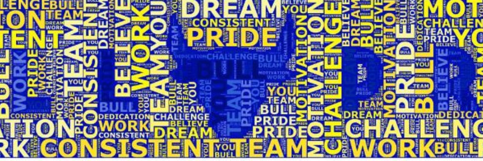 Houston Elementary School banner