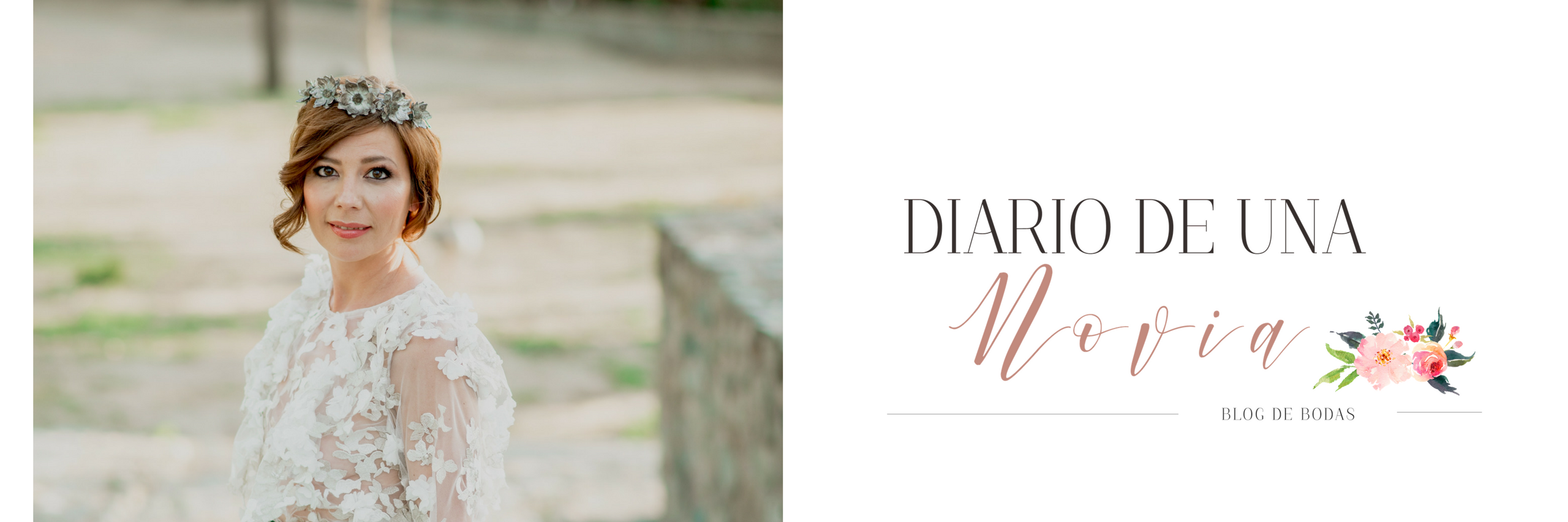 Diario de una Novia banner