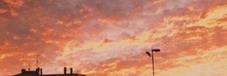 vFlexin IV banner
