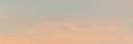 Nikko McDonald banner