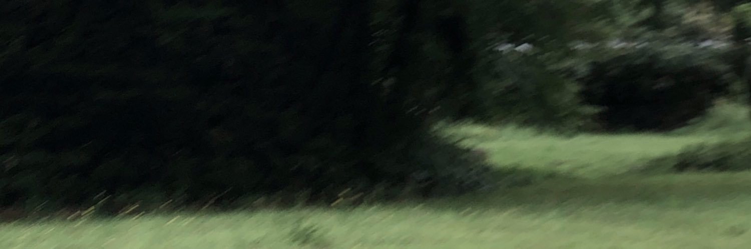 썬 sun banner