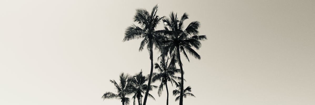 lixe23__'s profile banner image