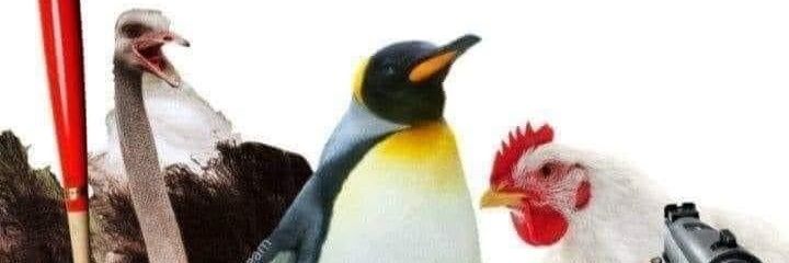 ramonixle's profile banner image