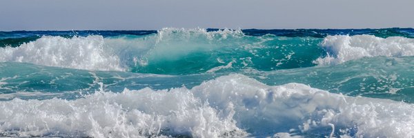 DrSAReynolds Profile Banner