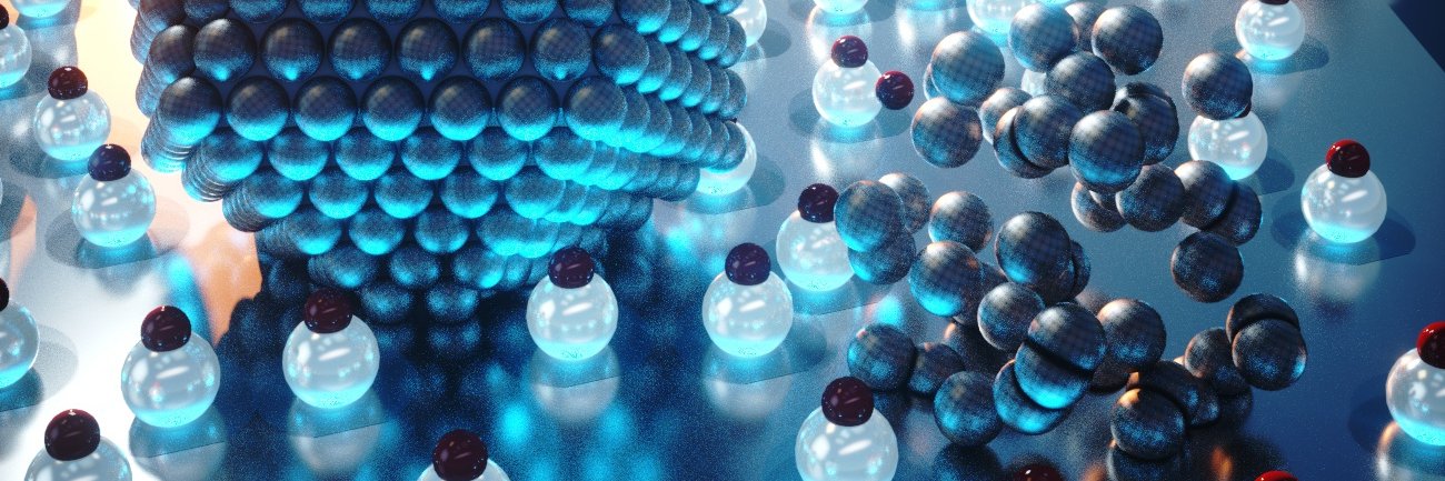 Taylor J Woehl banner