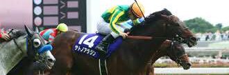 競馬予想スーパーヒトシマン's banner