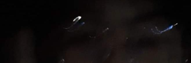 ppyasaaa's profile banner image