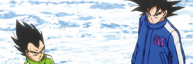 SkaiofArcadia's profile banner image