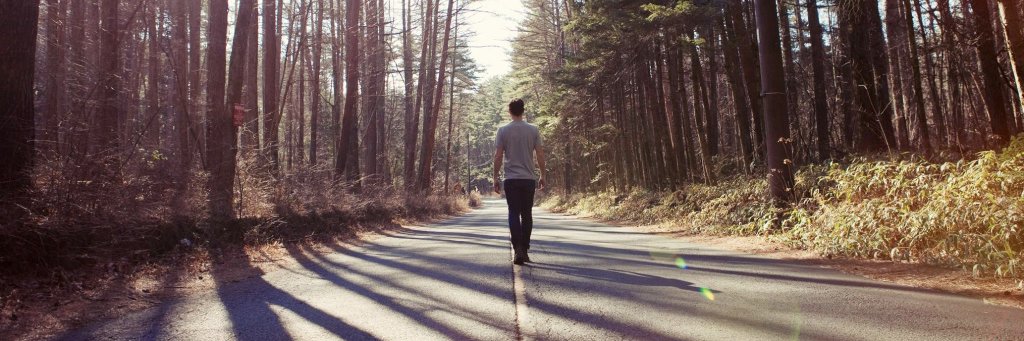 Henry David Firth banner