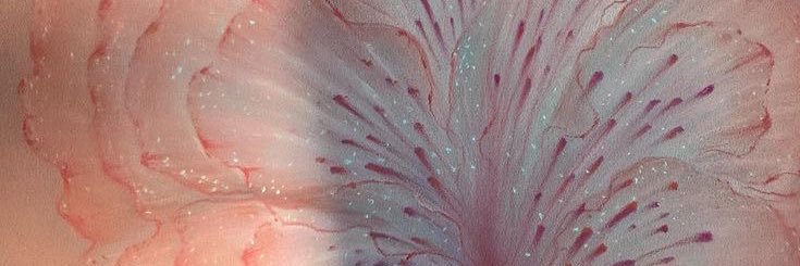 zuureo's profile banner image