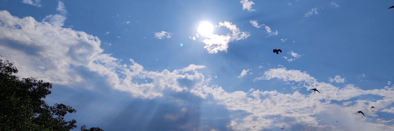 samdisha32's profile banner image