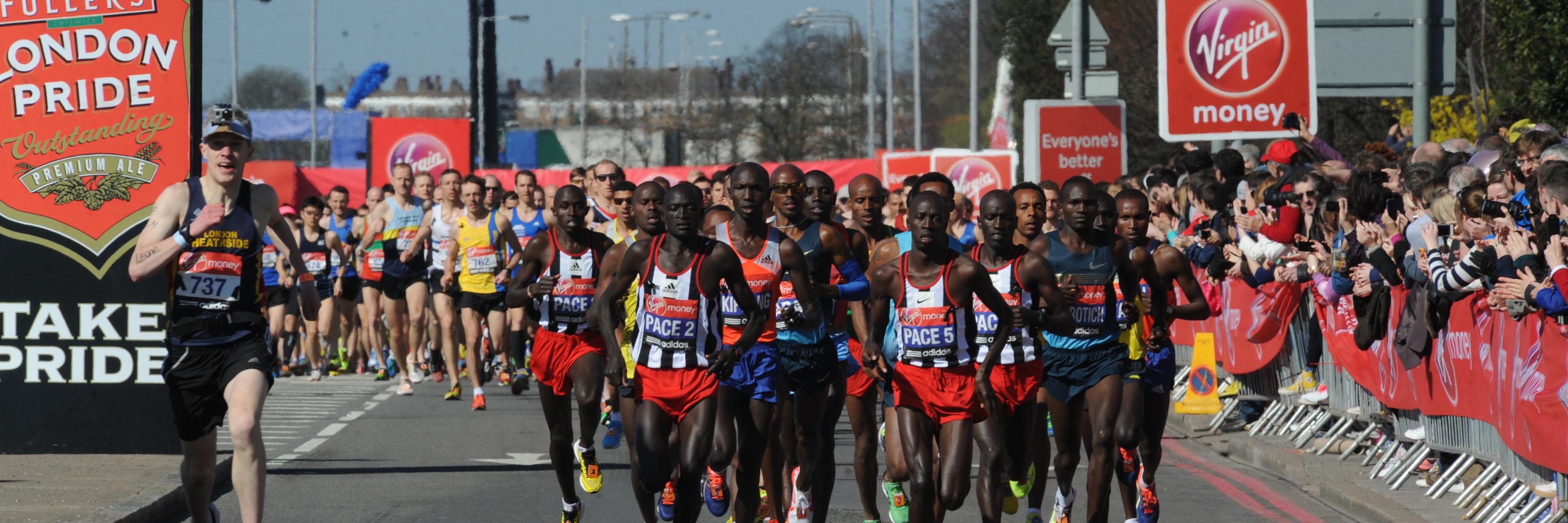 David Hellard banner