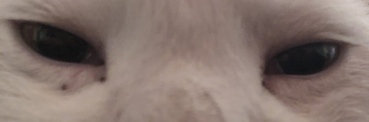 AaronFCC7's profile banner image