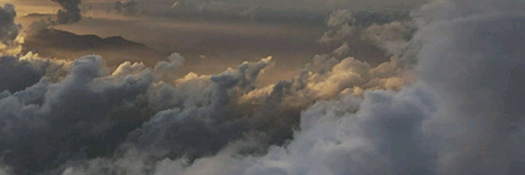 eylulozenir48's profile banner image