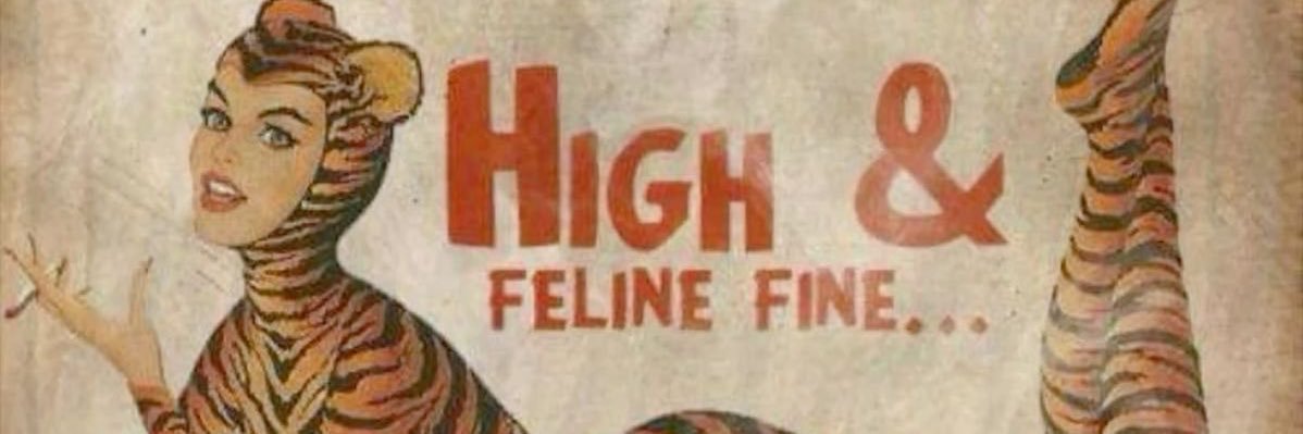 𝐍𝐚𝐧𝐢🍸's banner