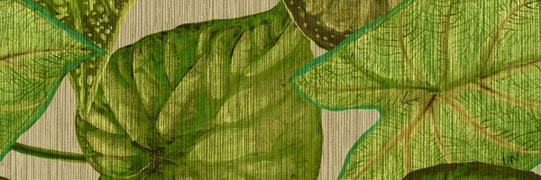 pixi3babii Profile Banner