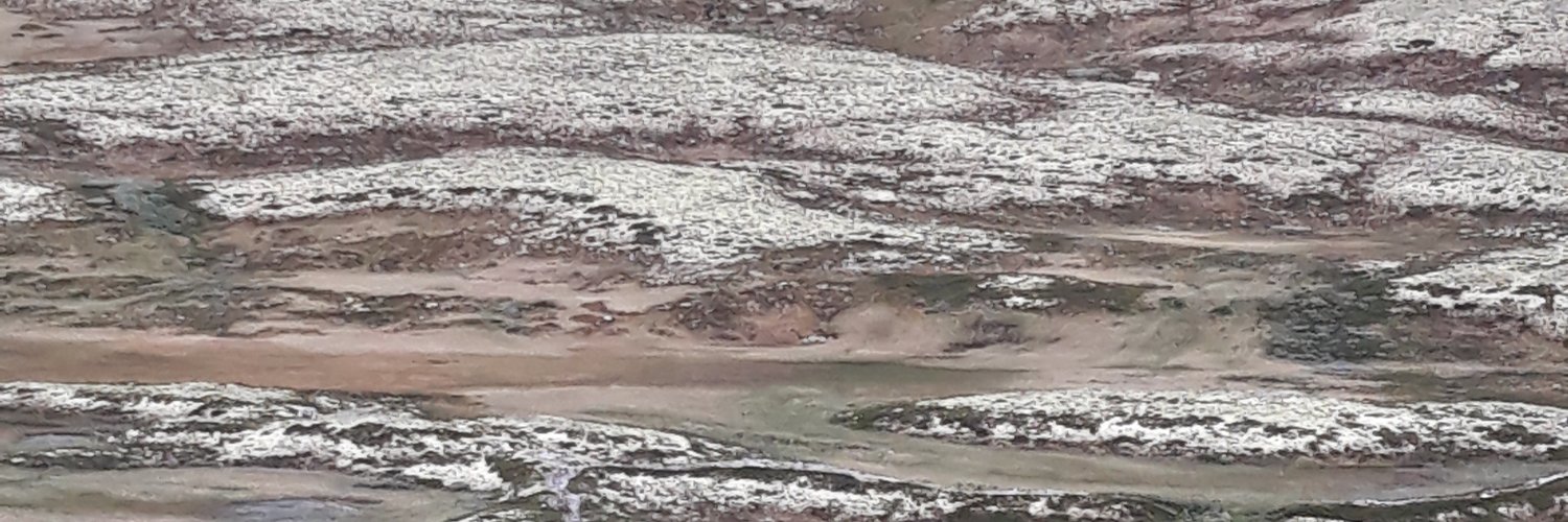 Pasi Pyöriä banner