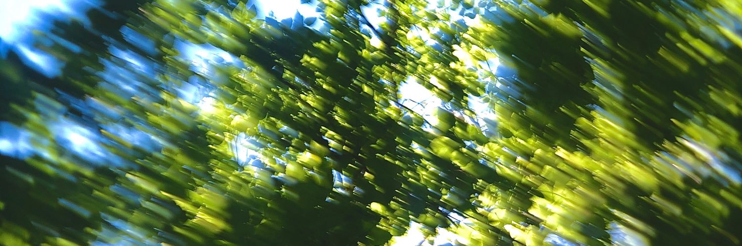fatimadyfan's profile banner image
